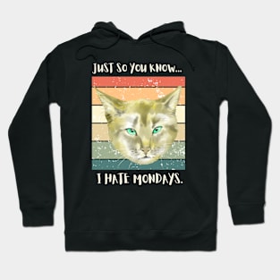 Just so you know...I hate monday's. Hoodie
